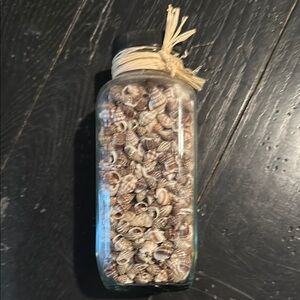 Decorative Seashell Glass Jar
